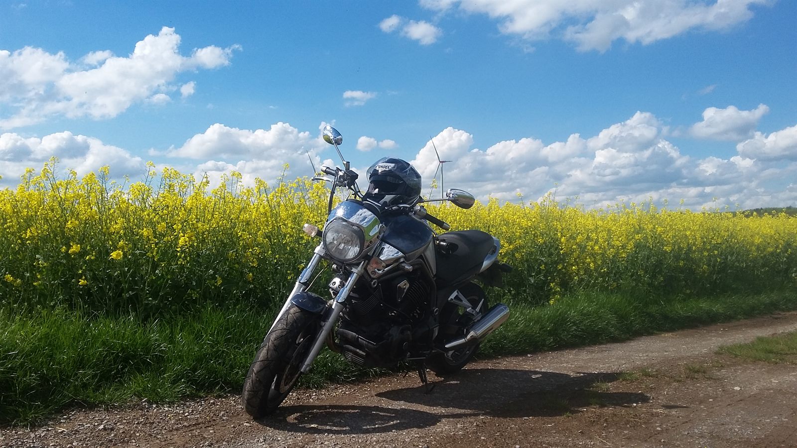 Motorrad an einem blühenden Rapsfeld am Rand einer Strecke im Spessart